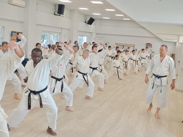 karate dynamicsports2592025 Small