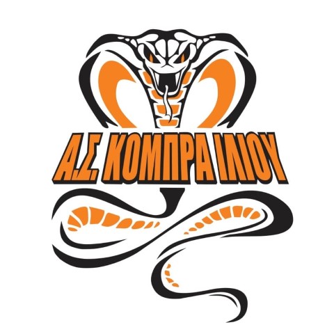 cobra iliou taekwondo ilion sportshunter logo Small