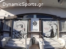 Α.Π.Σ. ΚΑΡΑΤΕ ΦΙΛΟΝΙΚΟΣ ΧΑΛΚΙΔΑΣ