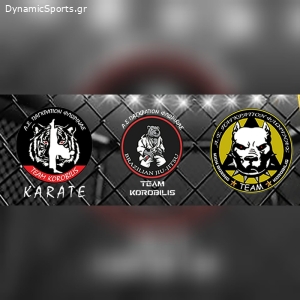 Α.Σ. ΠΑΓΚΡΑΤΙΟΝ ΦΛΩΡΙΝΑΣ - TEAM KOROBILIS (Shotokan Karate - Kick Boxing)