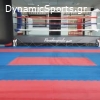 Α.Σ. ΜΑΧΗΤΙΚΩΝ ΤΕΧΝΩΝ ΑΡΓΟΛΙΔΑΣ ΙΑΠΕΤΟΣ (Kajukenbo - Kick Boxing - Αυτοάμυνα)