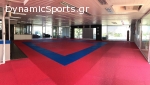Hellenic-Japanese Karate Academy "T. SUZUKI"
