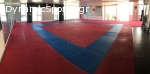 Hellenic-Japanese Karate Academy "T. SUZUKI"