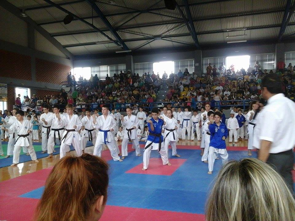 karate-oinofyton-2