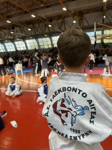 tkd241120255 Small