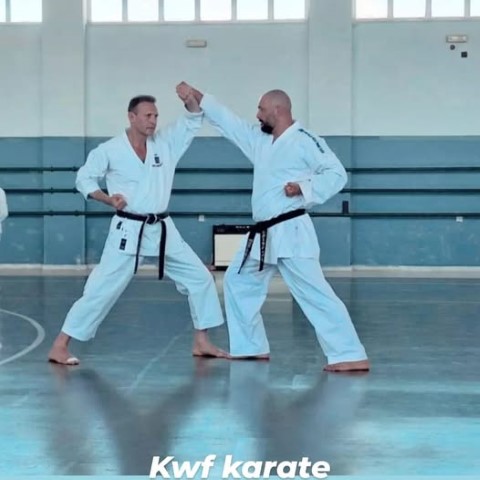 Alevras shotokan dynamicsports2492025 Small