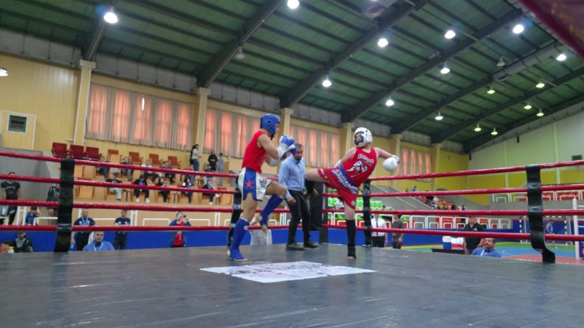 1000026611 Small