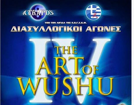 art wushu 4