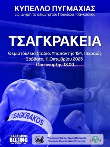 boxing dynamicsports1692025 Small