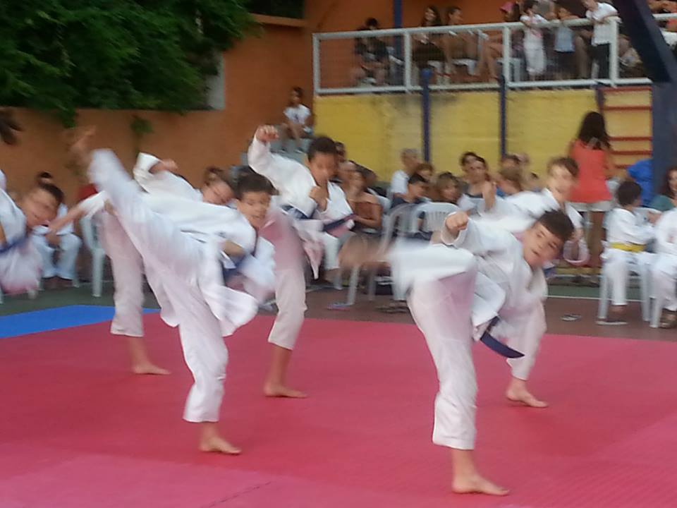 dikou602014