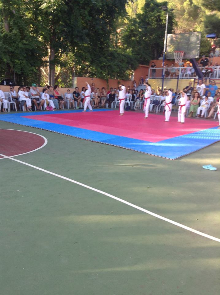 dimou622014