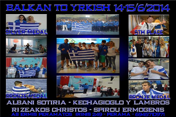 ermis1862014