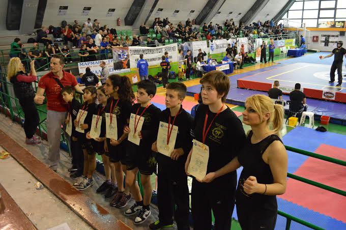 ermispanel2014