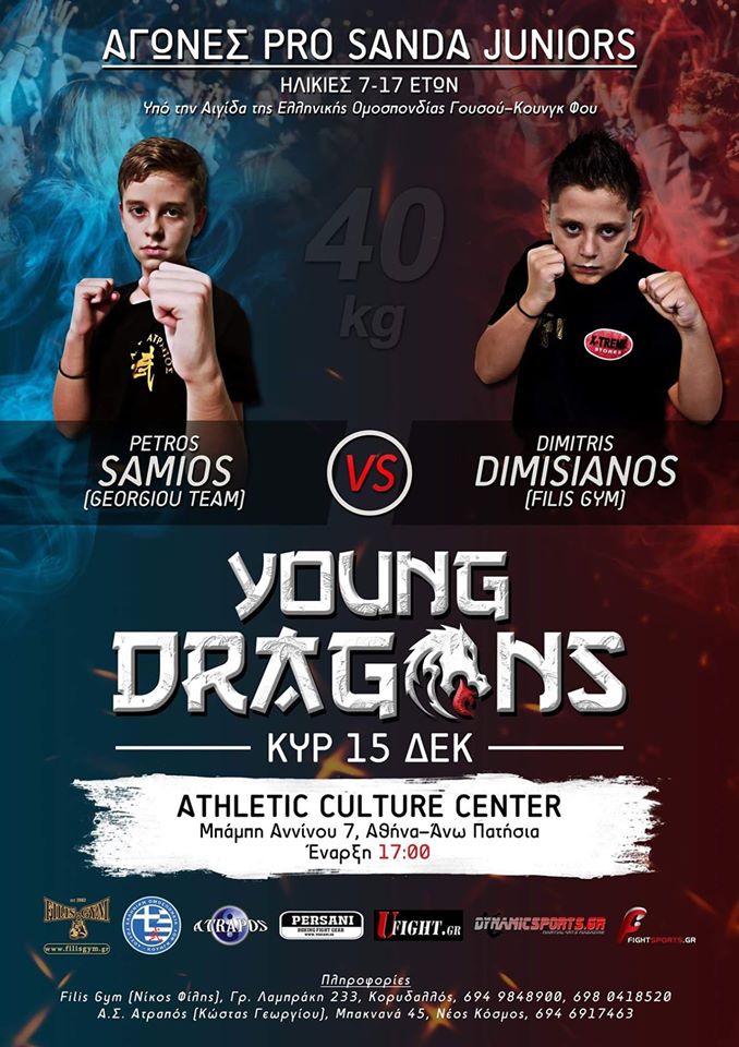 dragon12
