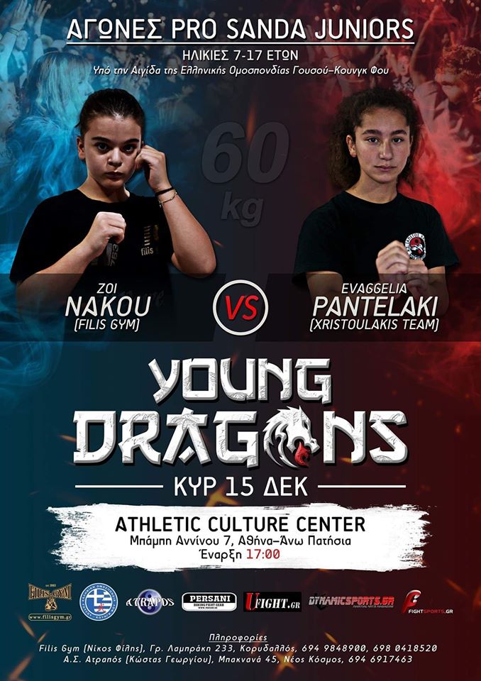 dragon16