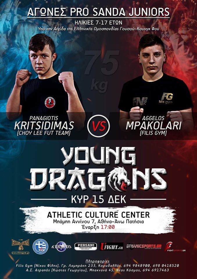 dragon17
