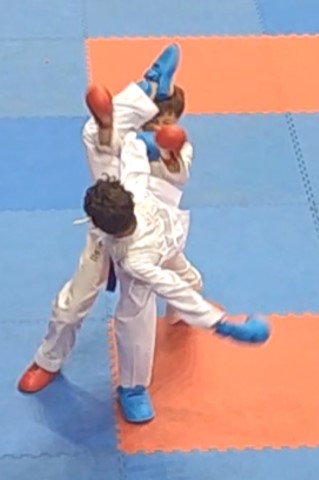 wado2 Small