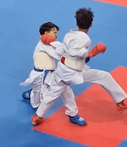 wado7 Small