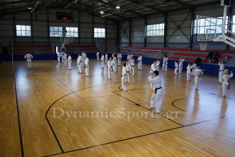 seminaria wicks 19