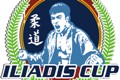 iliadis2014