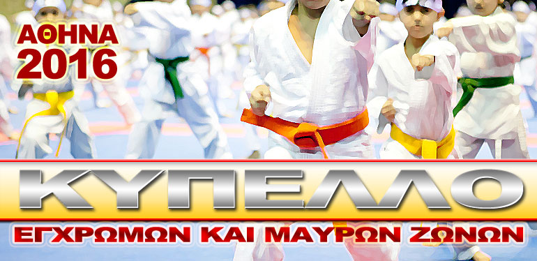 karate131116