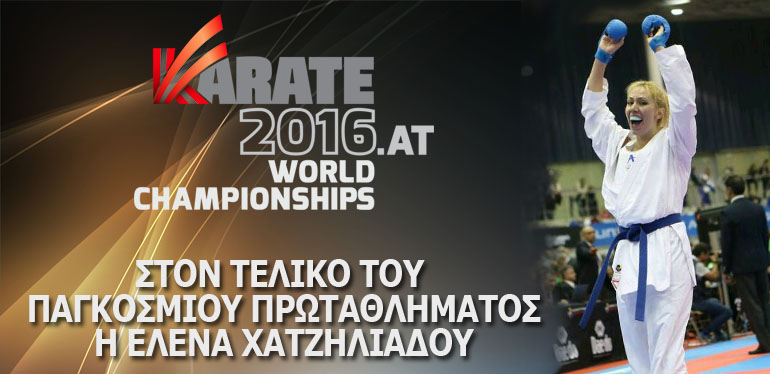 karate3010161