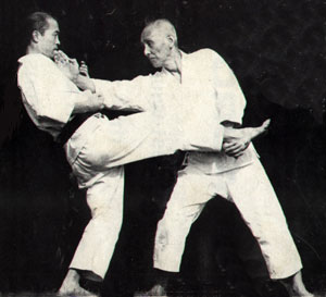 Η Ιστορία του Karate do