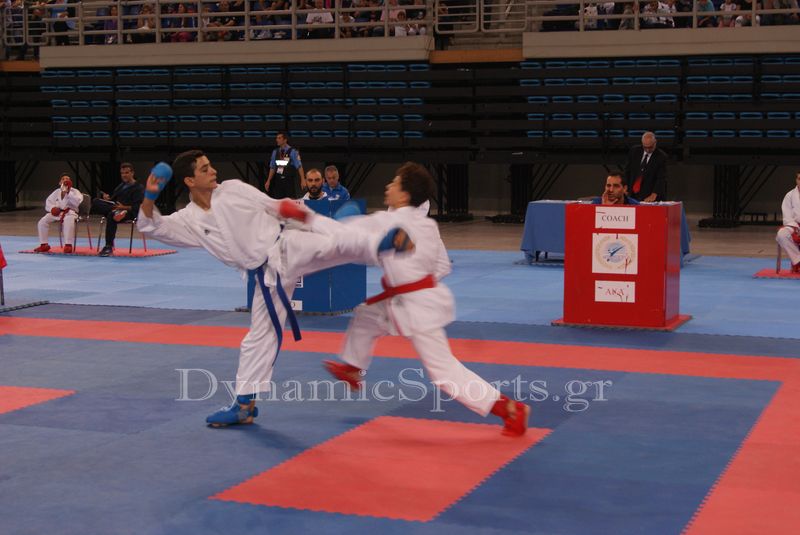 panel karate 2016 08