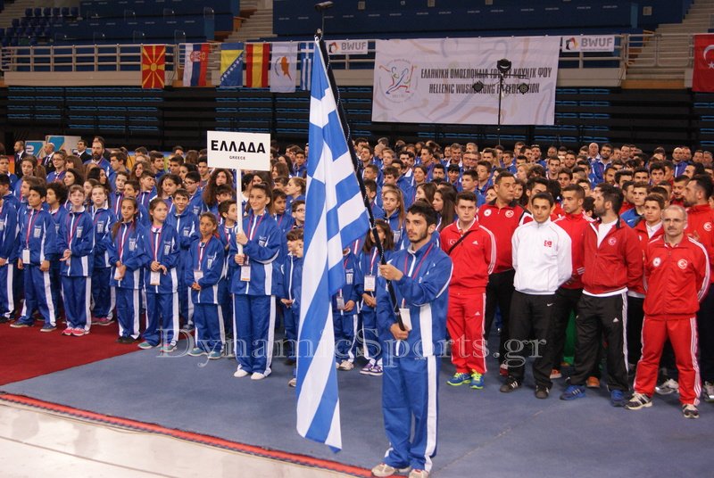 valkanikoi wushu 2015 19