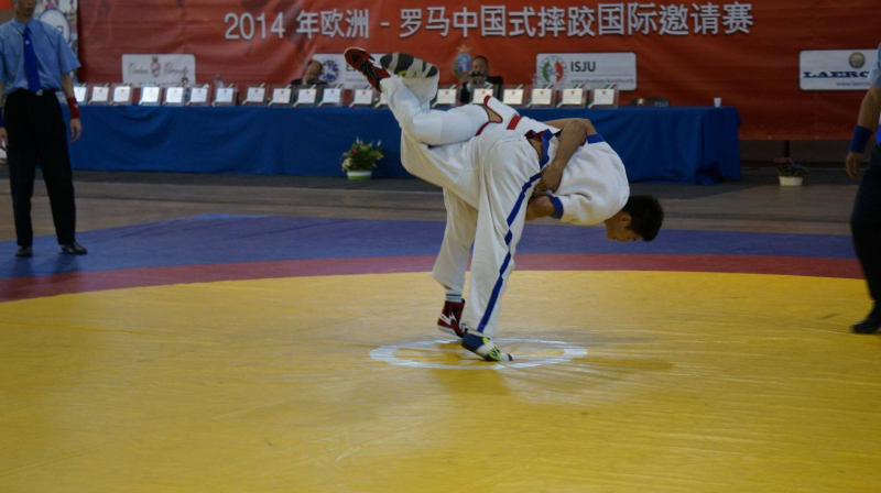 Shuai Jiao-2014-2