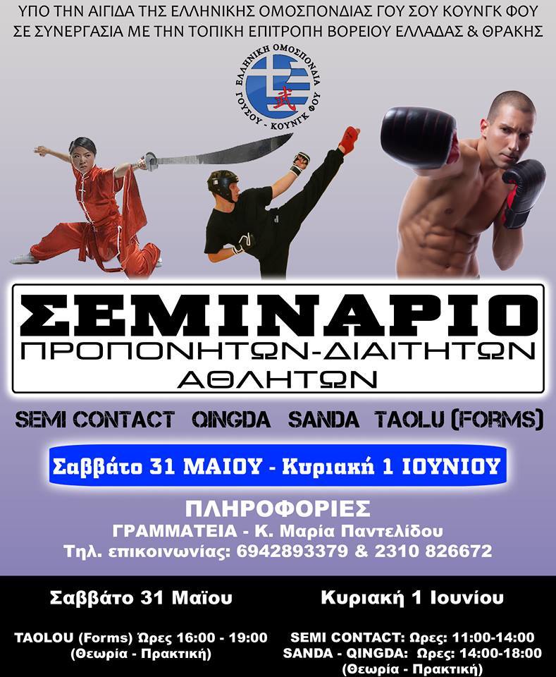 goysoysemin2014