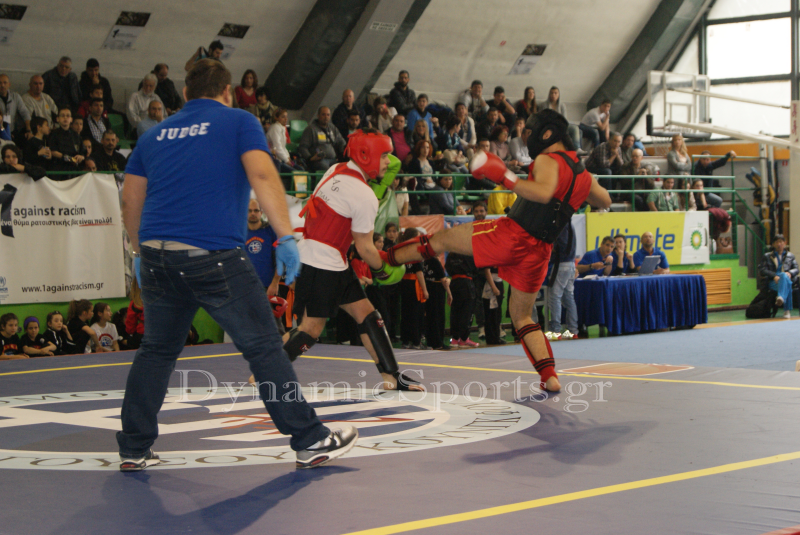 panell-wushu-2014-1