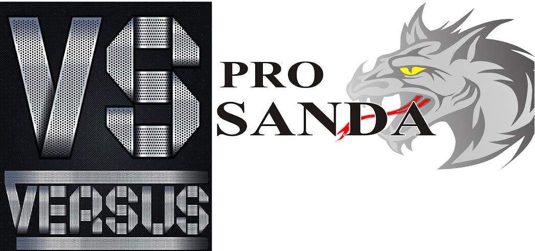 sanda2015