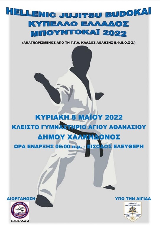 BUDOKAI26422