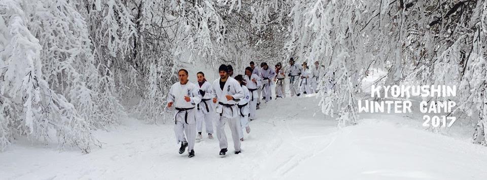 kyokushin3217