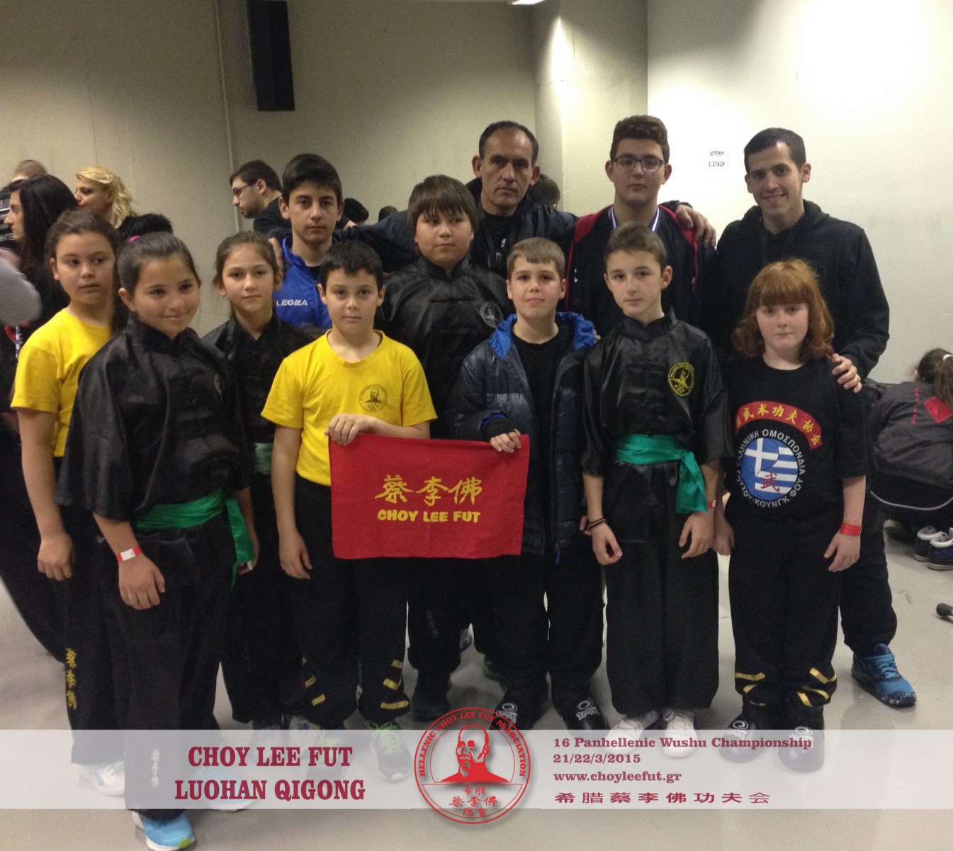 16 panel wushu CLF46