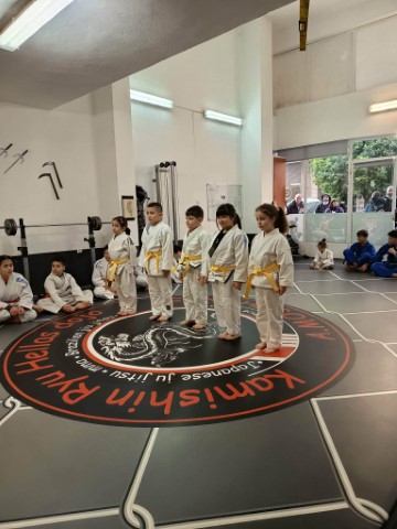 jujitsu18320264 Small