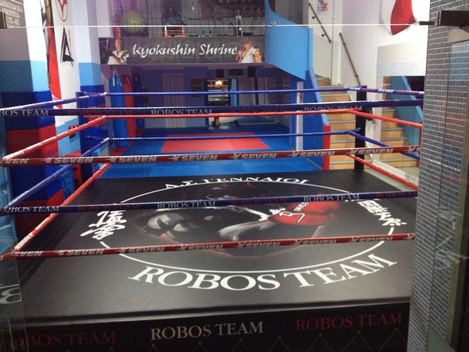 robos13102014