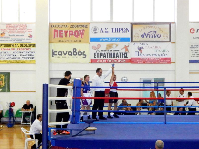 panell 2015 1