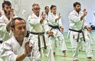 tsaka31116 copy