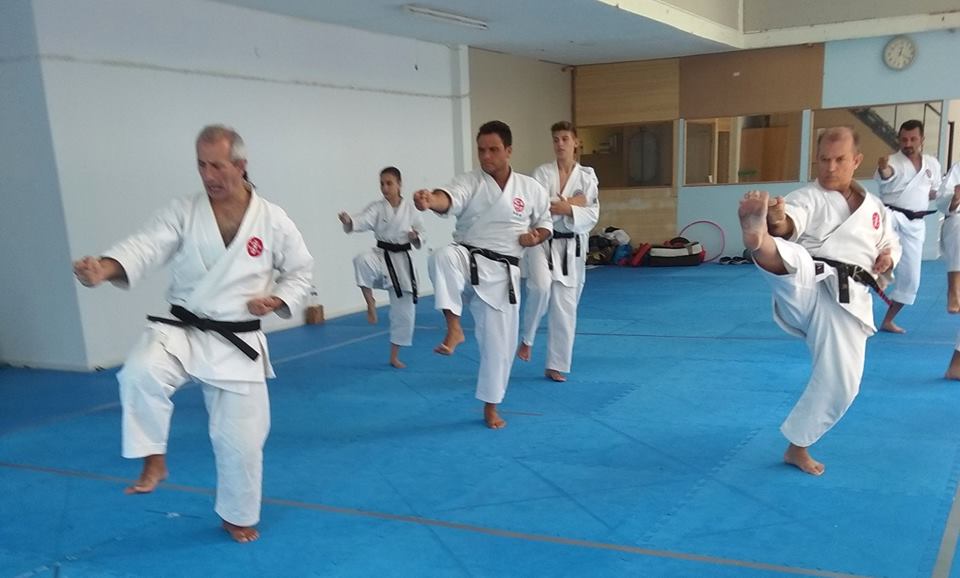 SEMINAR HELLENIC SHITOKAI KARATE DO 8 & 9 - 9 - 2018