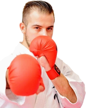 Sensei Ζάνκοβιτς Αλέξανδρος
