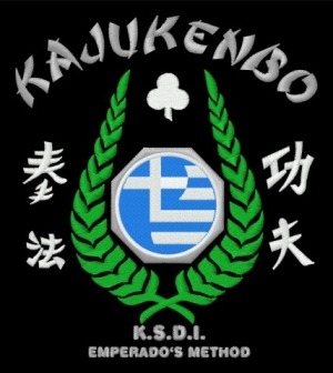 KAJUKENBO K.S.D.I. (AYTOAMYNA)