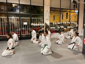 Προαγωγικές εξετάσεις ζωνών για το "Shinkyokushinkai Περιστέρι-Gkoumas Dojo" και το "Athens Shinkyokushin Dojo-Skapi Dojo"