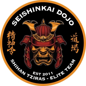 Διακρίσεις του "Α.Σ. SEISHIN DOJO ΛΑΡΙΣΑΣ" στο Πανελλήνιο Κύπελλο BODY CONTACT