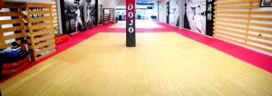 Ο Α. Σ. Zanshin Dojo Shotokan Karate συνεχίζει τα διαδικτυακά μαθήματα και τον Ιανουάριο