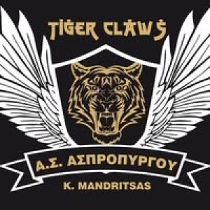 Α.Σ. ΜΑΧΗΤΕΣ ΑΣΠΡΟΠΥΡΓΟΥ - TIGER CLAWS MANDRITSAS TEAM: Εξετάσεις και απονομές ζωνών στο Kickboxing