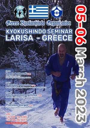 Σεμινάριο KYOKUSHINDO MMA με τον Hagen Behboudi 9 Dan
