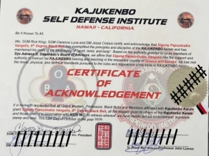 KAJUKENBO – ΕΠΙΣΗΜΗ ΑΝΑΓΝΩΡΙΣΗ του Συμβουλίου του Sijo Adriano D. Emperado (boa)