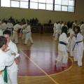 ashihara-seminario-25.jpg